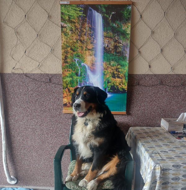 „Kućna vatra“ infracrvena zidna savitljiva grejalica u obliku slika 105 x 60 cm motiv VODOPAD. Zidna grejalica maksimalne snage 500 W. Slika koja greje.